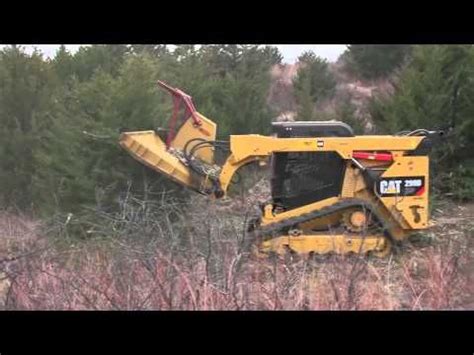 skid steer cedar removal|Ranchland Development .